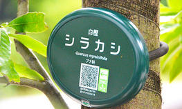 駒沢キャンパス内の植栽にQRコード付きのネームプレートを設置しました